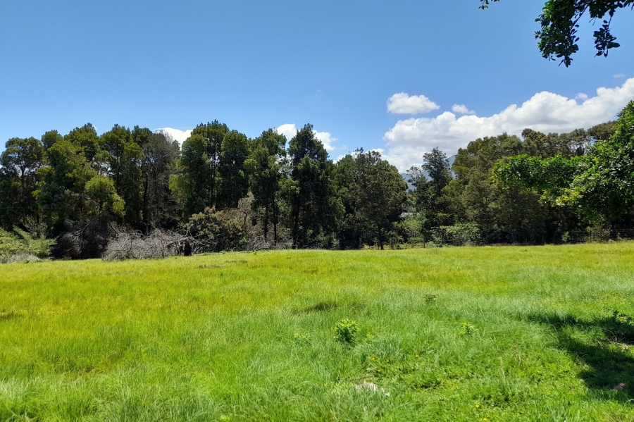 6 Bedroom Property for Sale in Wilderness Heights Western Cape